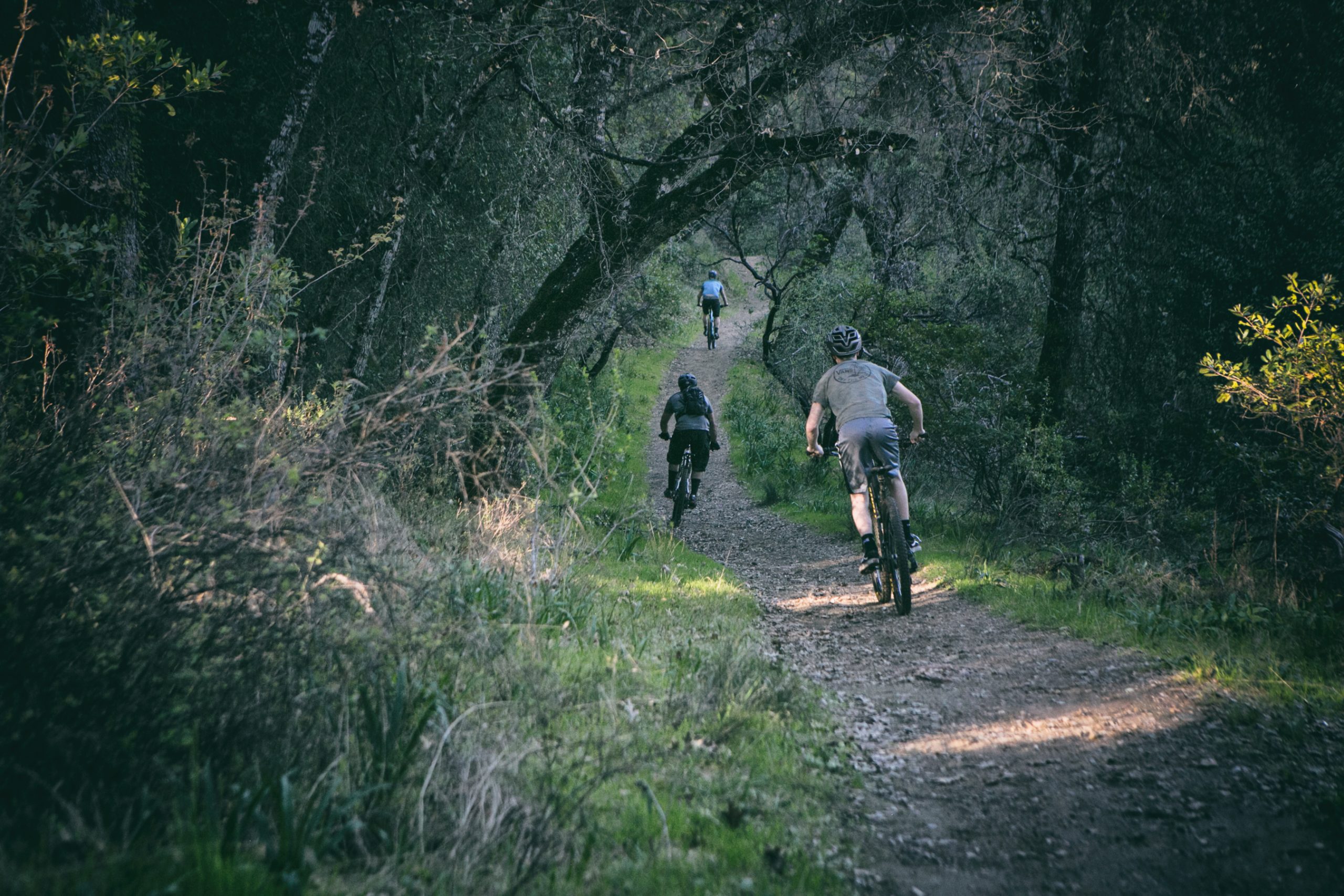 Mountain Biking