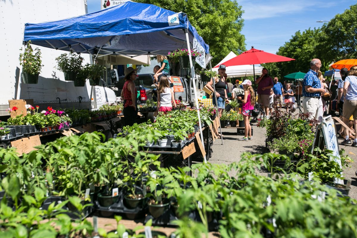 Ukiah Farmers Market Visit Ukiah