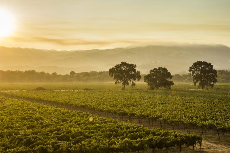 Current Events - Visit Ukiah