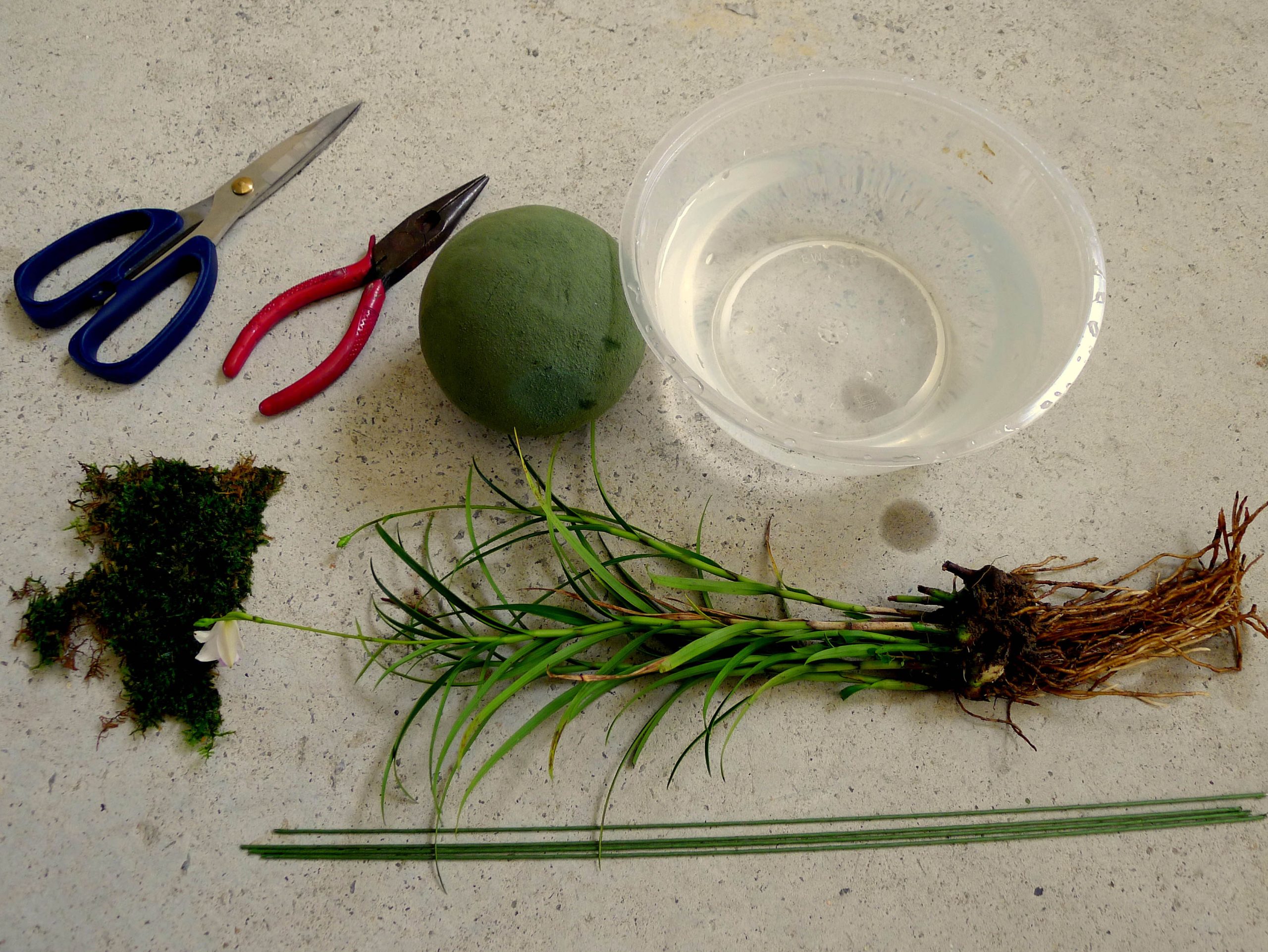 Makerspace Kokedama Japanese Moss Ball Visit Ukiah